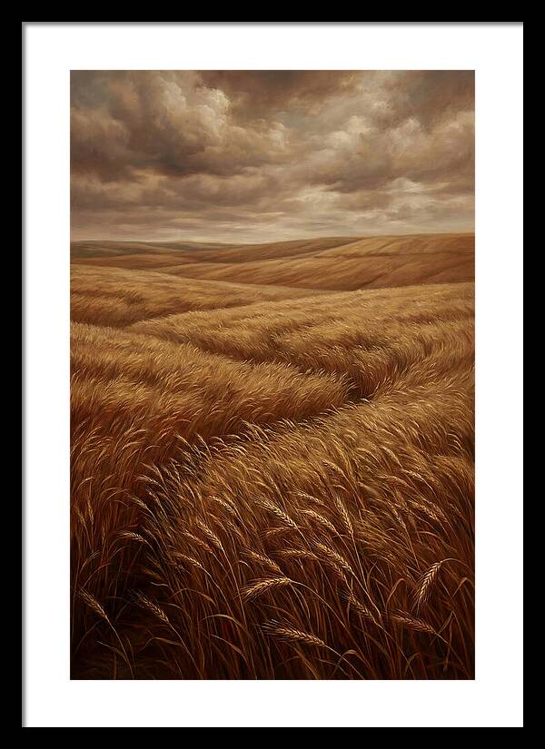 Golden Grain Fields Under Cloudy Skies