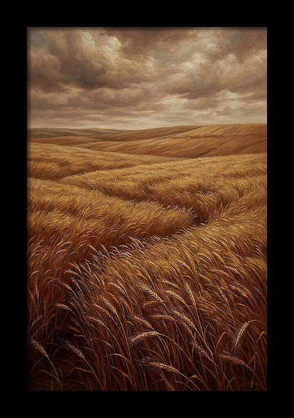 Golden Grain Fields Under Cloudy Skies