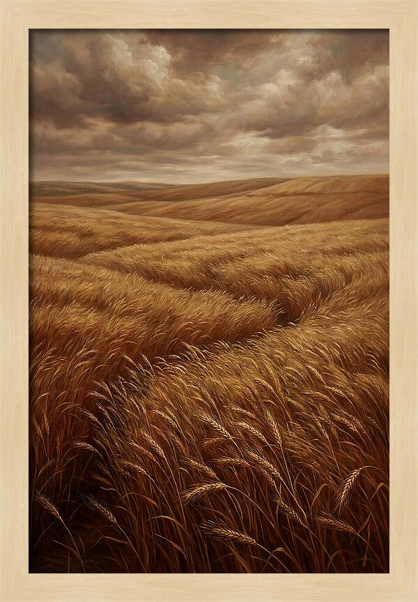 Golden Grain Fields Under Cloudy Skies