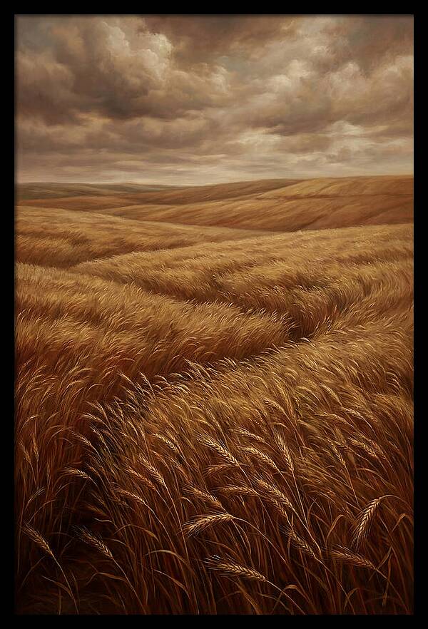 Golden Grain Fields Under Cloudy Skies
