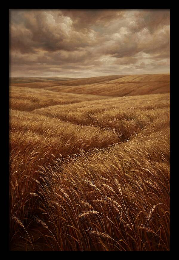 Golden Grain Fields Under Cloudy Skies