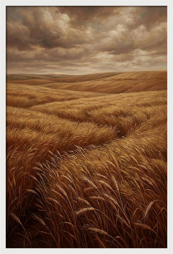 Golden Grain Fields Under Cloudy Skies