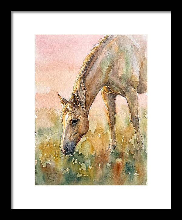 Golden Horse Grazing At Dusk