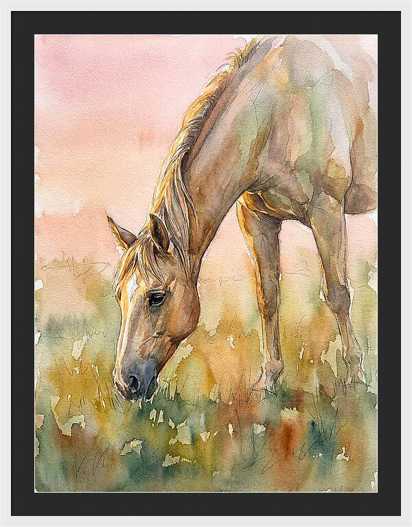 Golden Horse Grazing At Dusk