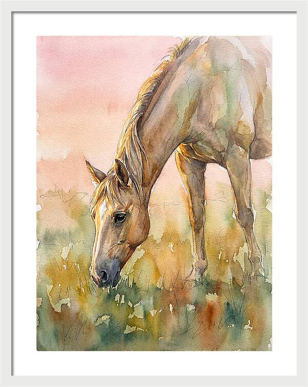 Golden Horse Grazing At Dusk