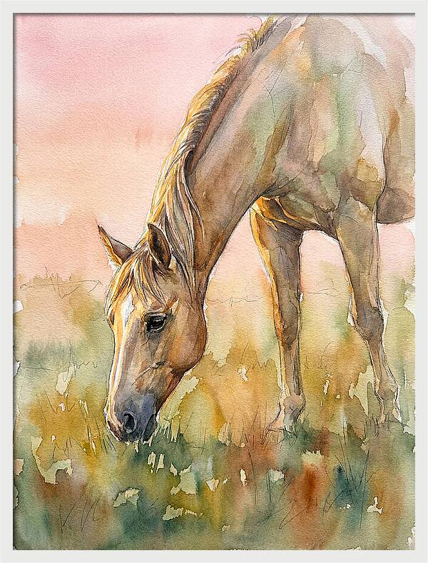 Golden Horse Grazing At Dusk