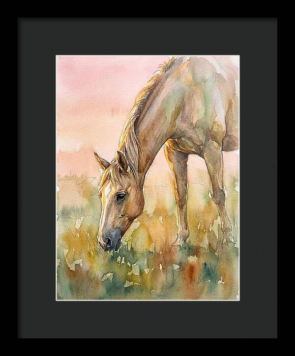 Golden Horse Grazing At Dusk