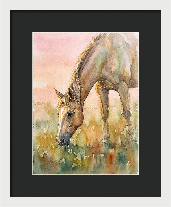 Golden Horse Grazing At Dusk