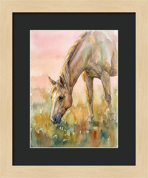 Golden Horse Grazing At Dusk