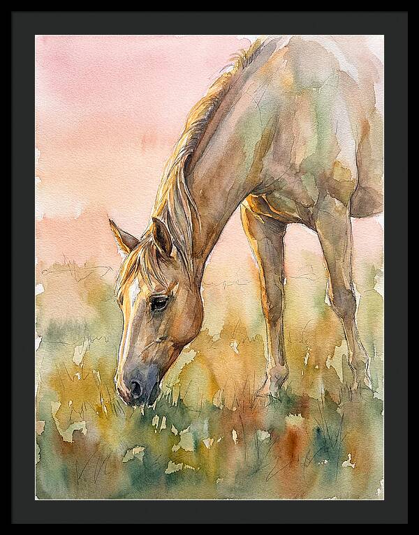 Golden Horse Grazing At Dusk