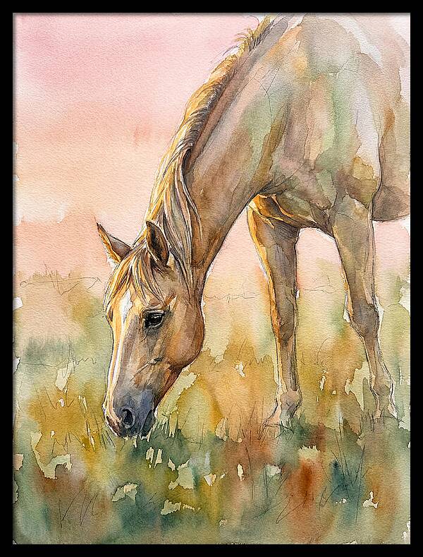 Golden Horse Grazing At Dusk