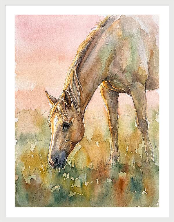 Golden Horse Grazing At Dusk