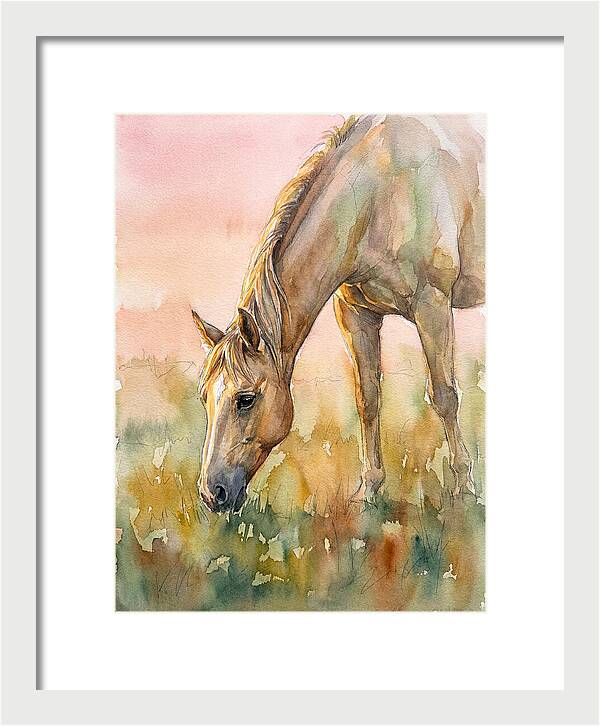 Golden Horse Grazing At Dusk