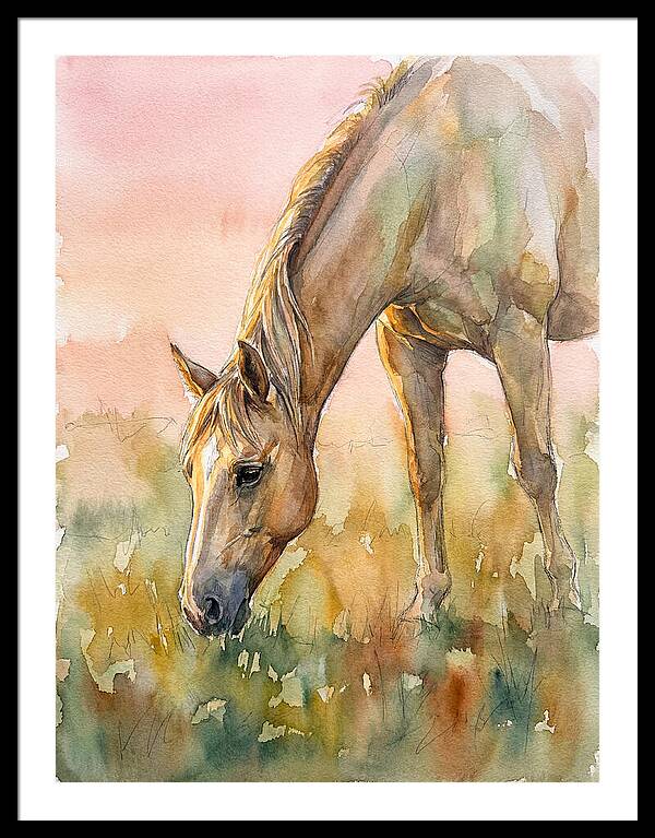 Golden Horse Grazing At Dusk