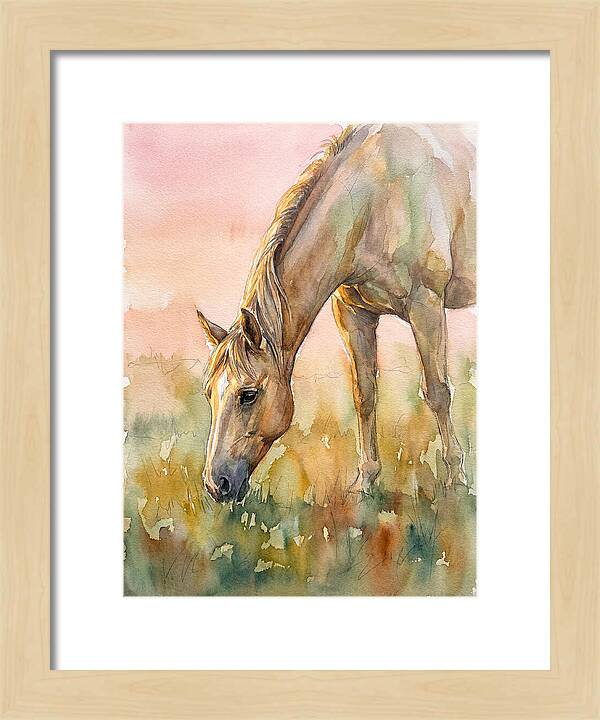 Golden Horse Grazing At Dusk