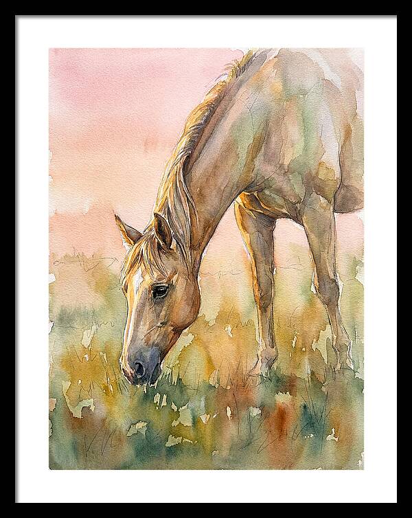 Golden Horse Grazing At Dusk