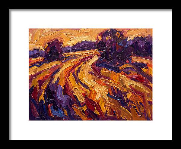 Golden Hour Field