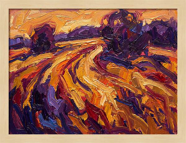 Golden Hour Field