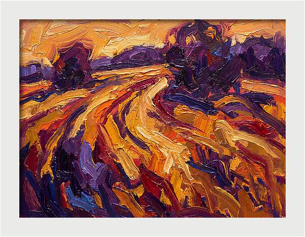 Golden Hour Field
