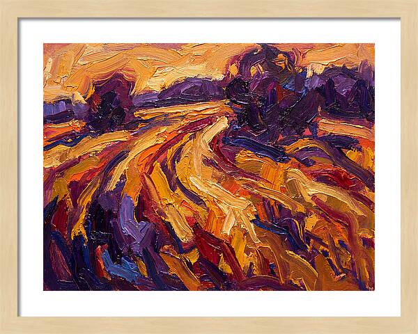 Golden Hour Field