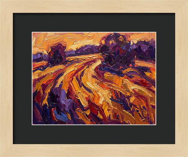 Golden Hour Field