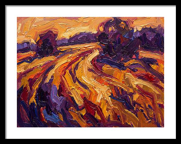 Golden Hour Field