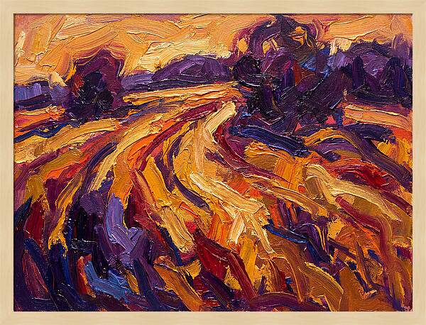 Golden Hour Field