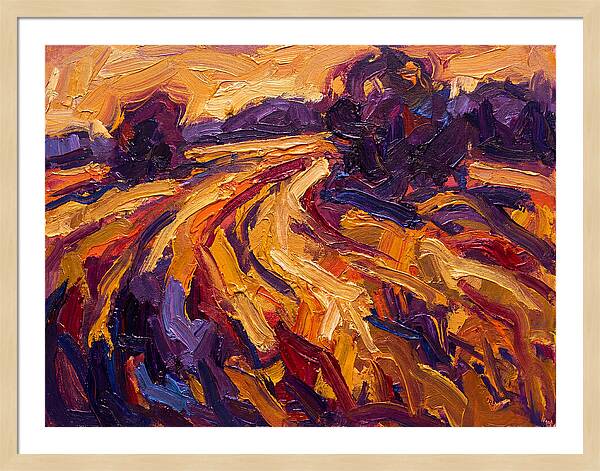 Golden Hour Field