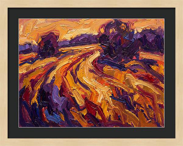 Golden Hour Field