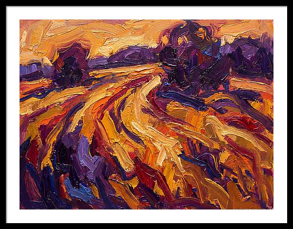 Golden Hour Field
