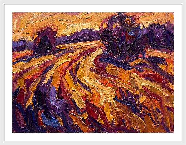 Golden Hour Field