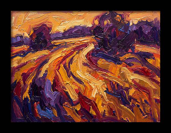 Golden Hour Field