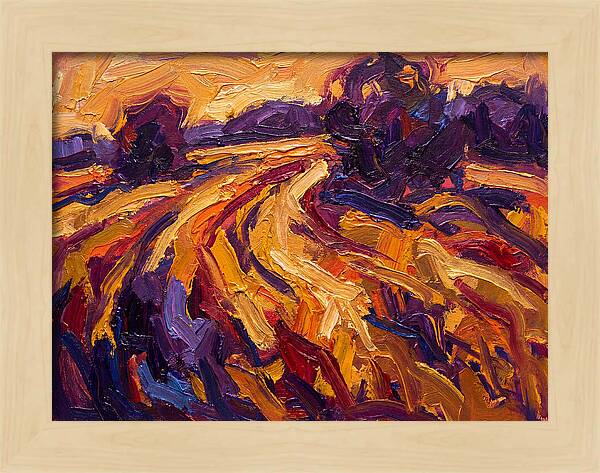 Golden Hour Field