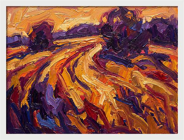 Golden Hour Field