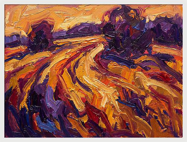 Golden Hour Field