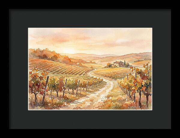 Golden Hour Light On Autumn Vineyard