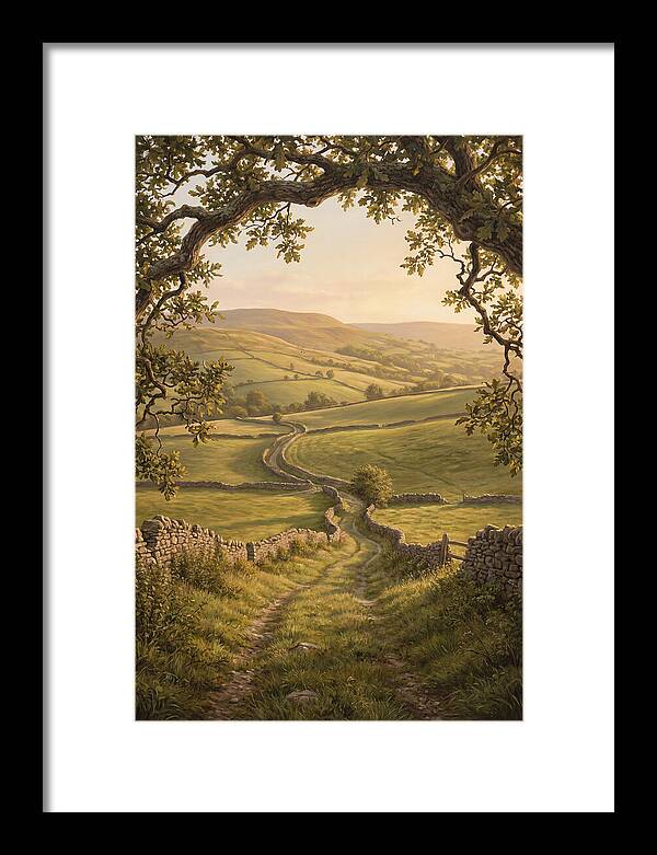Golden Hour Light Over Rolling Hills