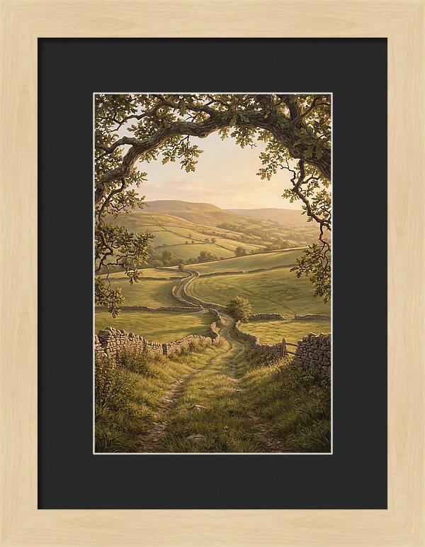 Golden Hour Light Over Rolling Hills