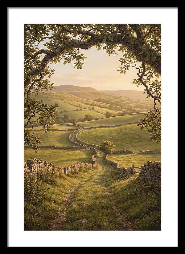Golden Hour Light Over Rolling Hills
