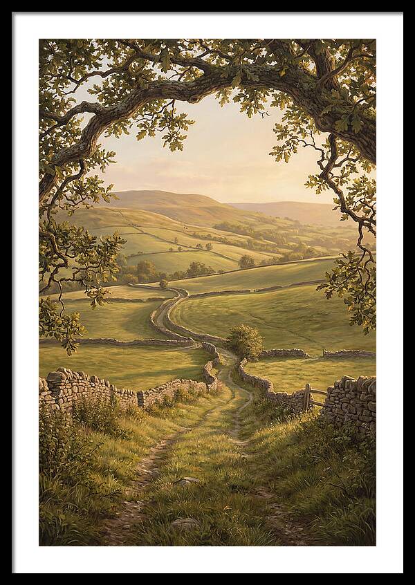 Golden Hour Light Over Rolling Hills