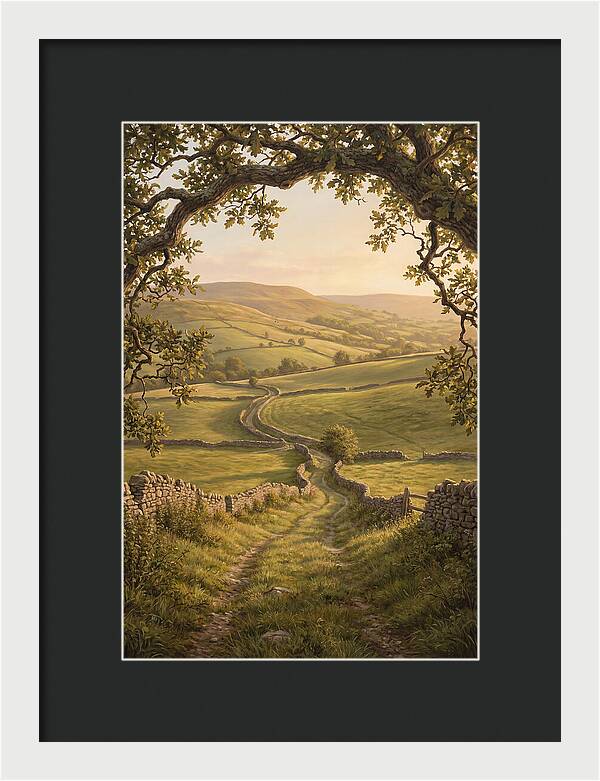 Golden Hour Light Over Rolling Hills