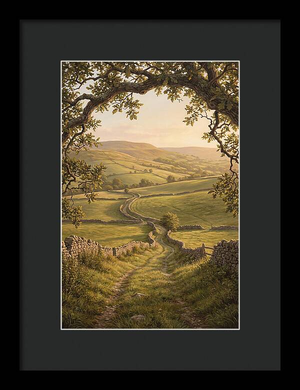 Golden Hour Light Over Rolling Hills