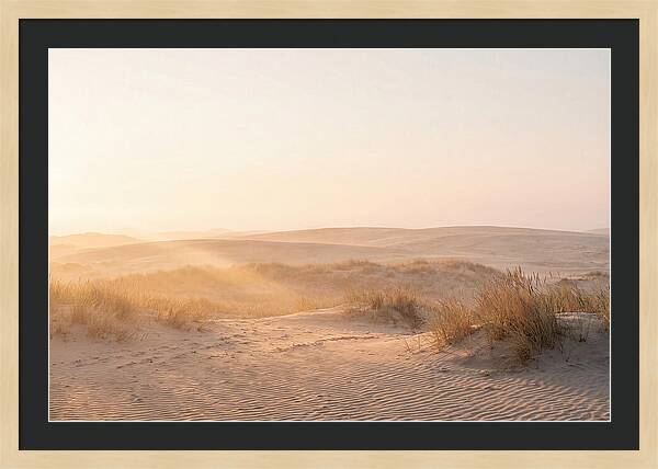 Golden Hour Over Curonian Dunes