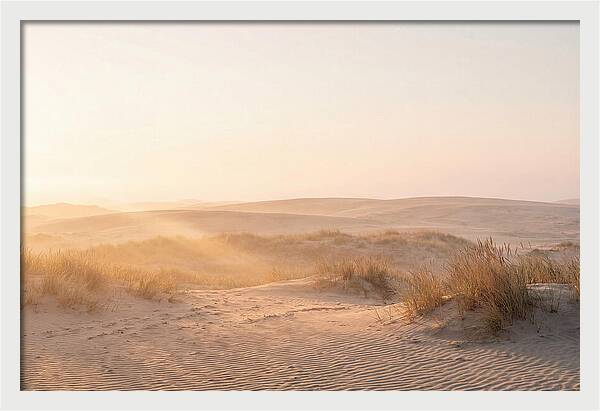 Golden Hour Over Curonian Dunes