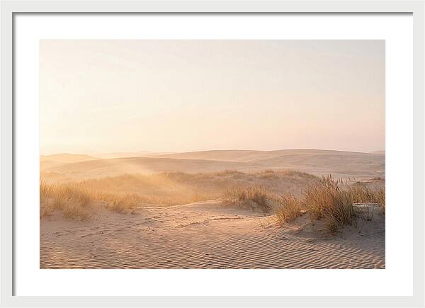 Golden Hour Over Curonian Dunes