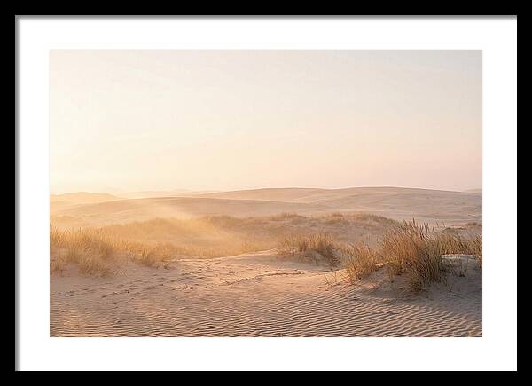 Golden Hour Over Curonian Dunes