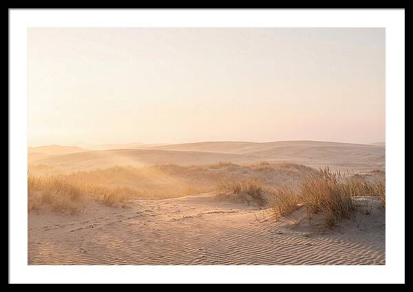 Golden Hour Over Curonian Dunes