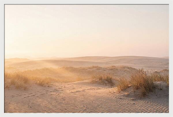 Golden Hour Over Curonian Dunes