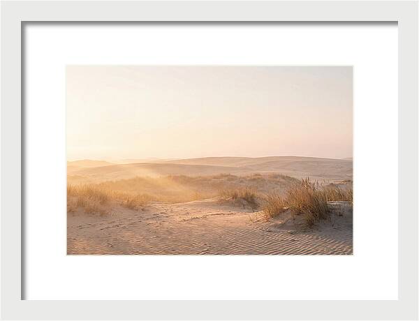 Golden Hour Over Curonian Dunes