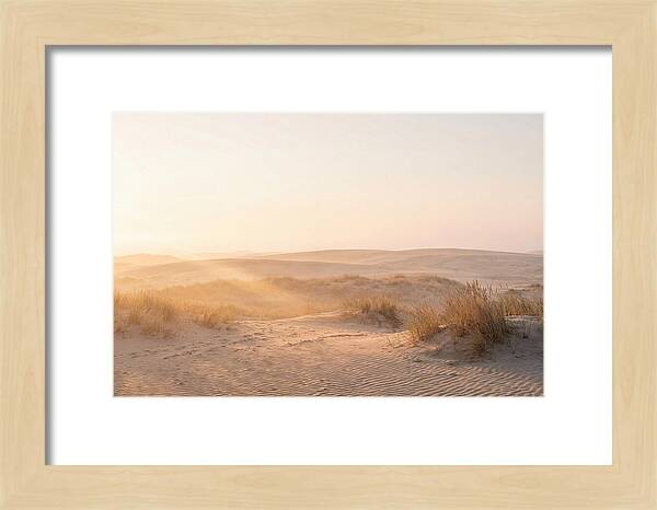 Golden Hour Over Curonian Dunes